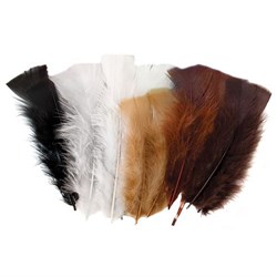 Feathers Natural Colours Pkt of 60g_3